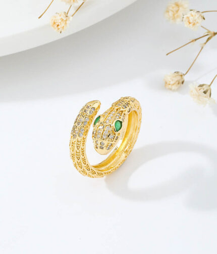 Anillo